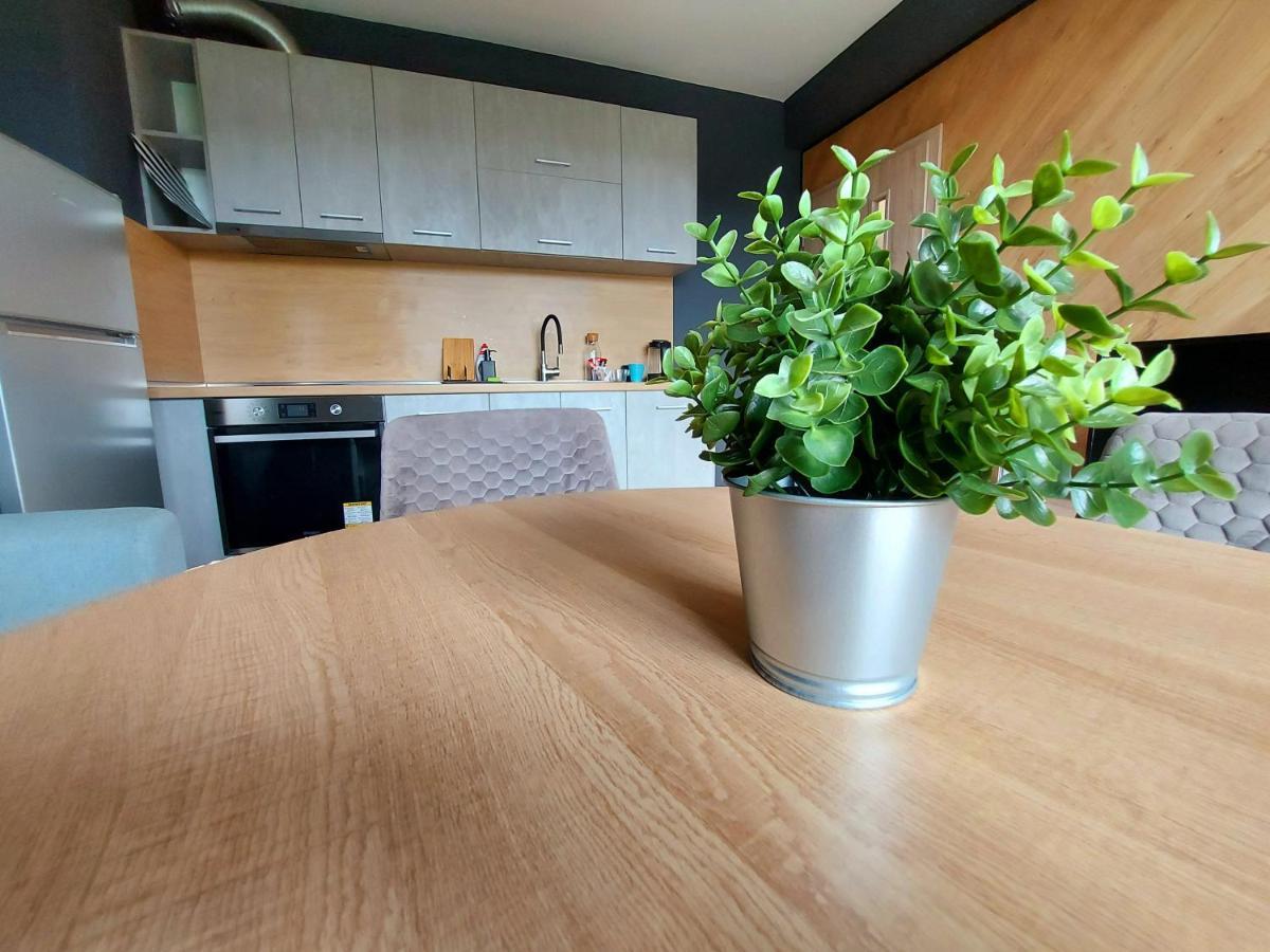 Grey Apartment ヴァルナ エクステリア 写真